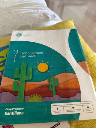 CONEIXEMENT DEL MEDI 3 PRIMARIA CONSTRUINT MONS