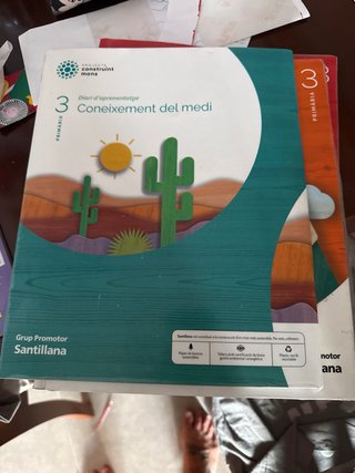 CONEIXEMENT DEL MEDI 3 PRIMARIA CONSTRUINT MONS