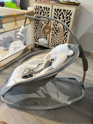 Hamaca Mecedora Ingenuity
