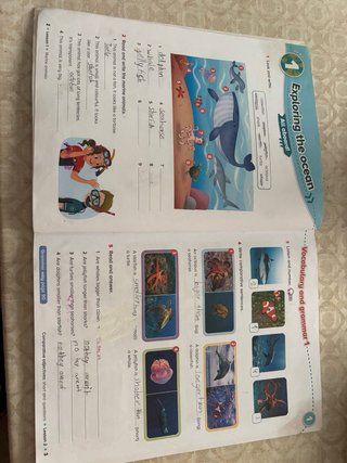 AMAZING JOURNEY 4 ACTIVITY PACK