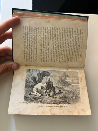 Libro Animali 1872