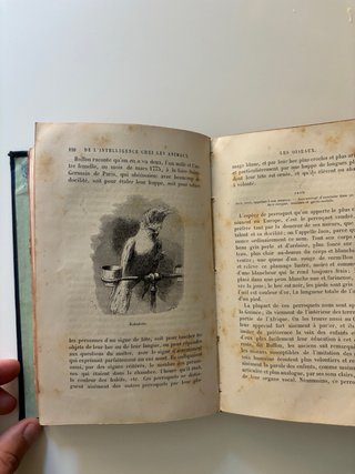 Libro Animali 1872