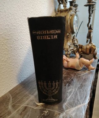 Sagrada Biblia