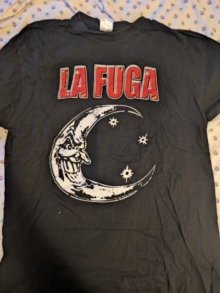 Lote 10 Camisetas Variadas Talla L amplia o XL