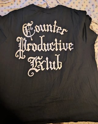 Lote 10 Camisetas Variadas Talla L amplia o XL