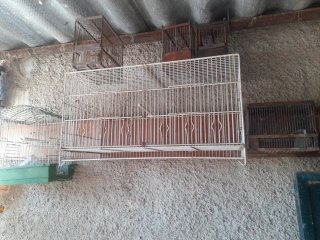 Jaulas para pájaros (grandes 5 € y 3 € pequeñas)