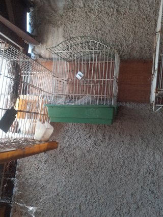 Jaulas para pájaros (grandes 5 € y 3 € pequeñas)