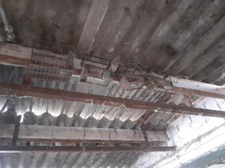 Jaulas para pájaros (grandes 5 € y 3 € pequeñas)