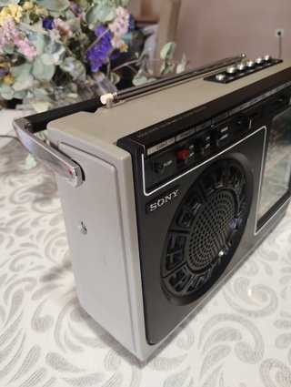 Sony ICF 8900L Receptor Multibanda 6 Bandas