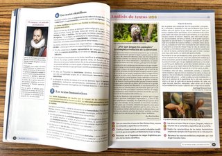 Lengua castellana y literatura I