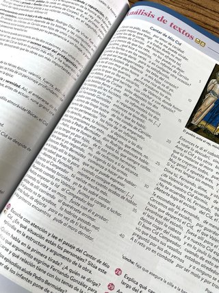 Lengua castellana y literatura I