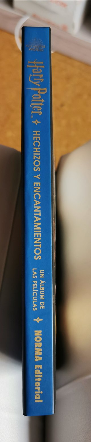 Libro de hechizos de Harry Potter
