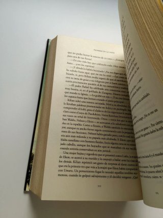 Libro Palmeras en la Nieve - Luz Gabás