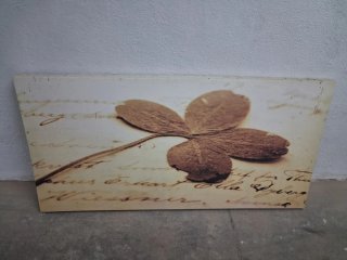Cuadro decorativo hoja seca