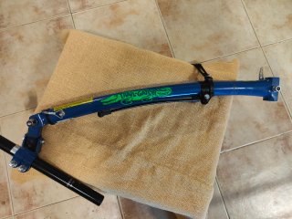 Remolque bici infantil Trail Gator