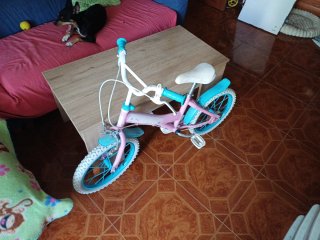 Bicicleta infantil rosa y azul