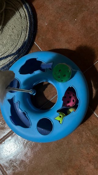 Rascador para gato con juguete