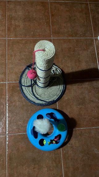 Rascador para gato con juguete