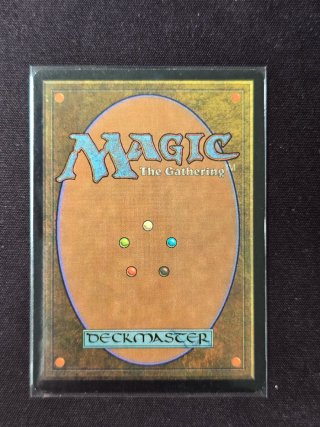 Shivan Reef Foil - Magic The Gathering
