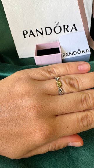 Anillo Pandora Girasol 54