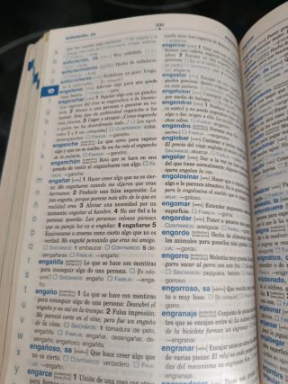 Diccionario Básico Primaria