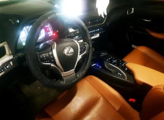 Lexus UX 2019
