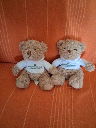 Lote 4 peluches ositos