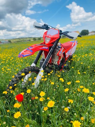 Beta RR 300 2016