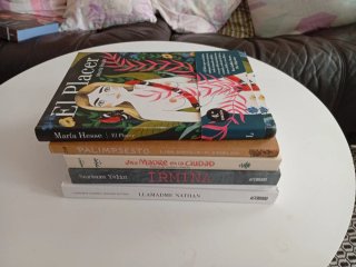 Lote de 5 novelas gráficas
