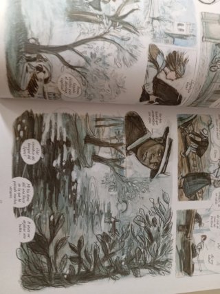 Lote de 5 novelas gráficas
