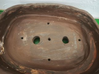 Maceta Bonsái Ovalada Terracota