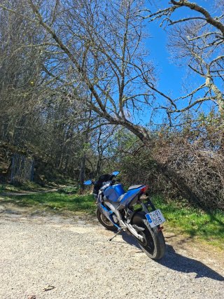 Derbi GPR Azul