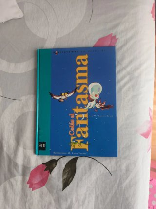 Libros Infantiles con pictogramas.