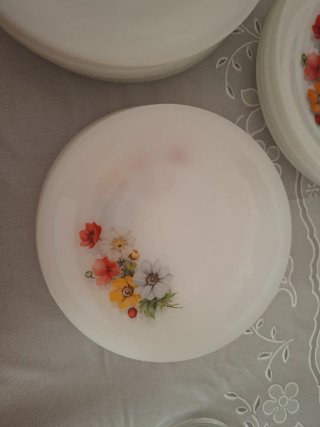 Arcopal Anemona Platos Porcelana