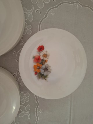 Arcopal Anemona Platos Porcelana