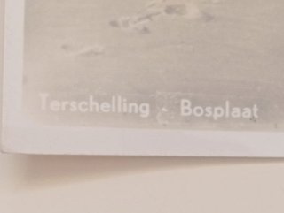 Postal Terschelling Bosplaat Holanda Años 50