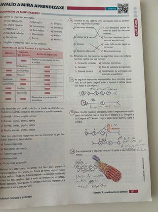 BIOLOXIA XEOLOXIA E CIENCIAS 1 BACH (CER)