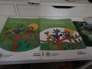Libros 4 primaria