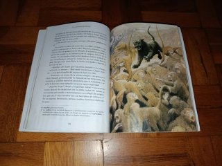 Las Aventuras De Mowgli
