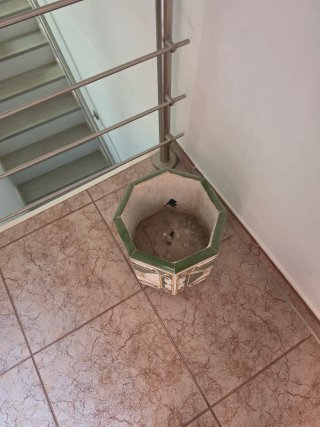 Macetero de cerámica