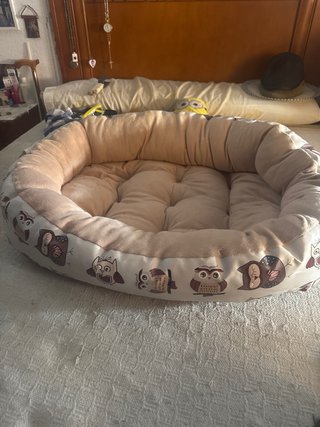 Cama para perro grande beige