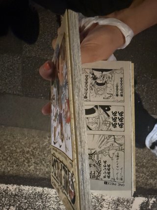 Libro One Piece 1
