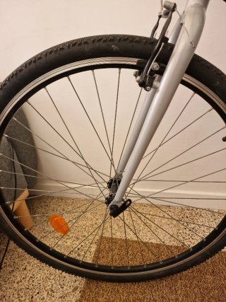 Bicicleta RIVERSIDE 120