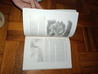El ruiseñor y otros cuentos