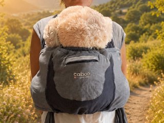 Pack mochilas porteo Caboo + Ergobaby