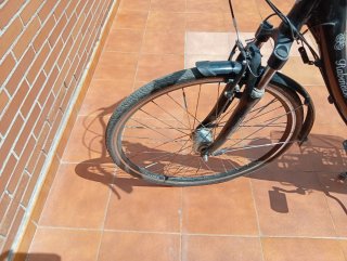 Bicicleta urbana Rabeneick