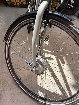 Bicicleta Eléctrica F.lli Schiano E-Moon 28