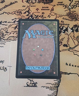 CARTA MAGIC - STOCK UP