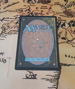 CARTA MAGIC - STOCK UP