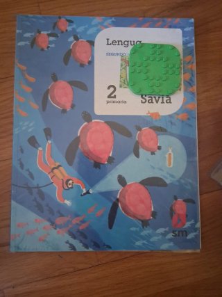 Lote Libros Textos 4º y3 Primaria Santillana, Oxfo